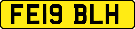 FE19BLH