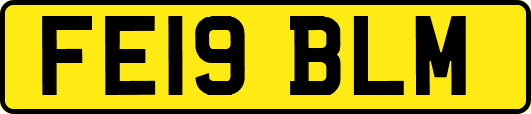 FE19BLM