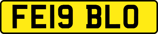 FE19BLO