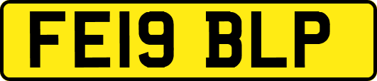 FE19BLP