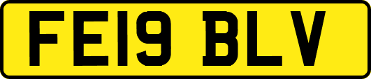 FE19BLV