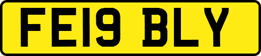 FE19BLY