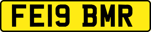 FE19BMR