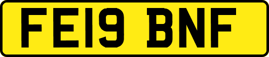 FE19BNF