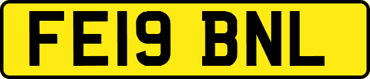 FE19BNL