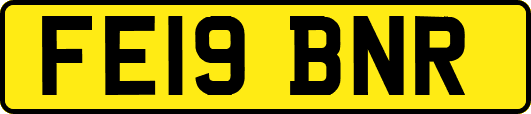 FE19BNR