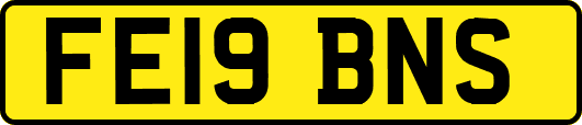 FE19BNS