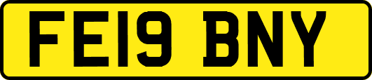 FE19BNY
