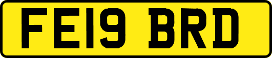 FE19BRD