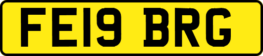 FE19BRG