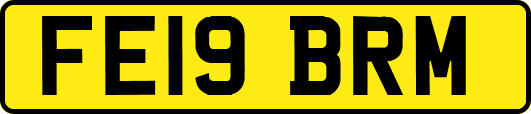 FE19BRM