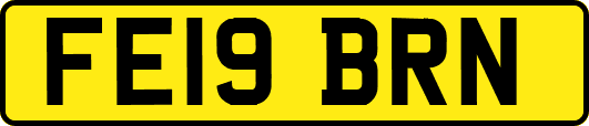 FE19BRN