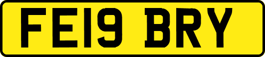 FE19BRY
