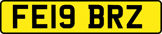FE19BRZ