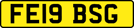 FE19BSG
