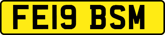 FE19BSM