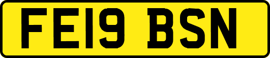 FE19BSN