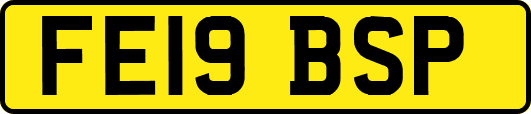 FE19BSP