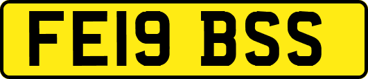 FE19BSS