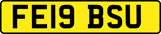 FE19BSU