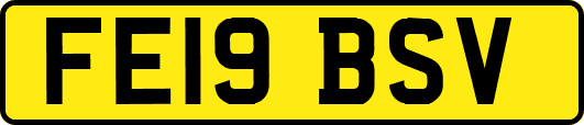 FE19BSV