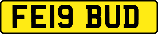 FE19BUD