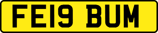 FE19BUM