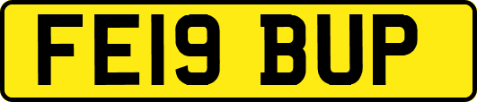 FE19BUP