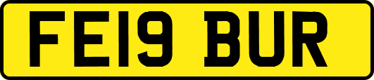FE19BUR