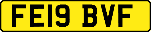 FE19BVF