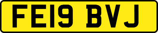 FE19BVJ