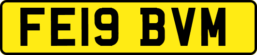 FE19BVM