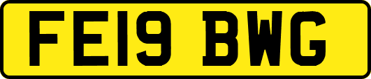 FE19BWG