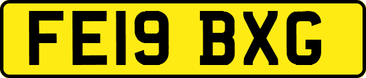 FE19BXG