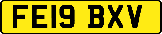 FE19BXV