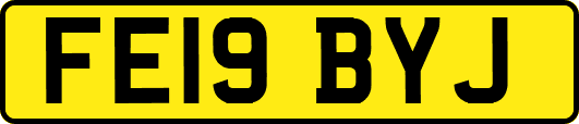 FE19BYJ
