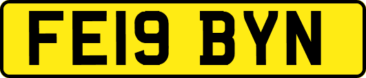 FE19BYN