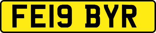 FE19BYR