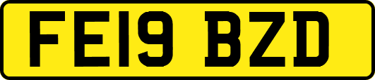 FE19BZD
