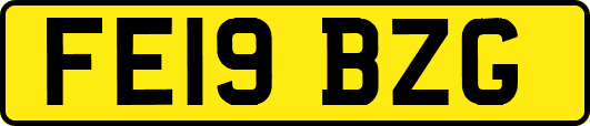 FE19BZG
