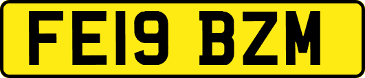FE19BZM