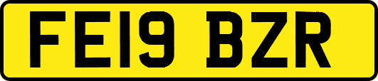 FE19BZR
