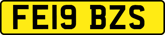 FE19BZS