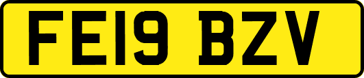 FE19BZV