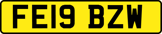 FE19BZW
