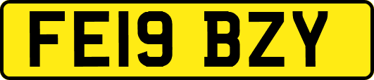 FE19BZY