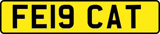 FE19CAT