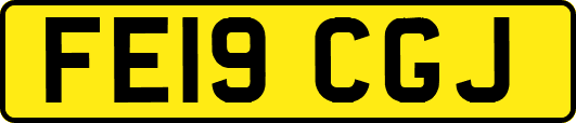 FE19CGJ