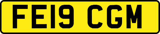 FE19CGM