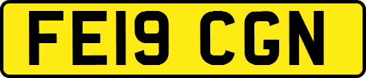 FE19CGN